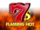 Flaming Hot Online Slot