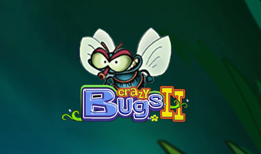 Crazy Bugs II