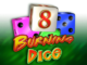 Burning Dice Online Slot