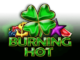 Burning Hot Online Slot