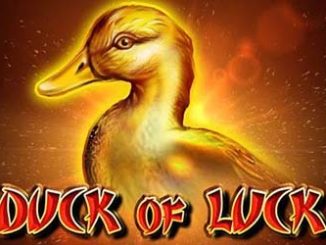 Duck-of-Luck