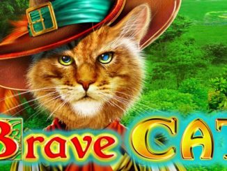 Brave Cat